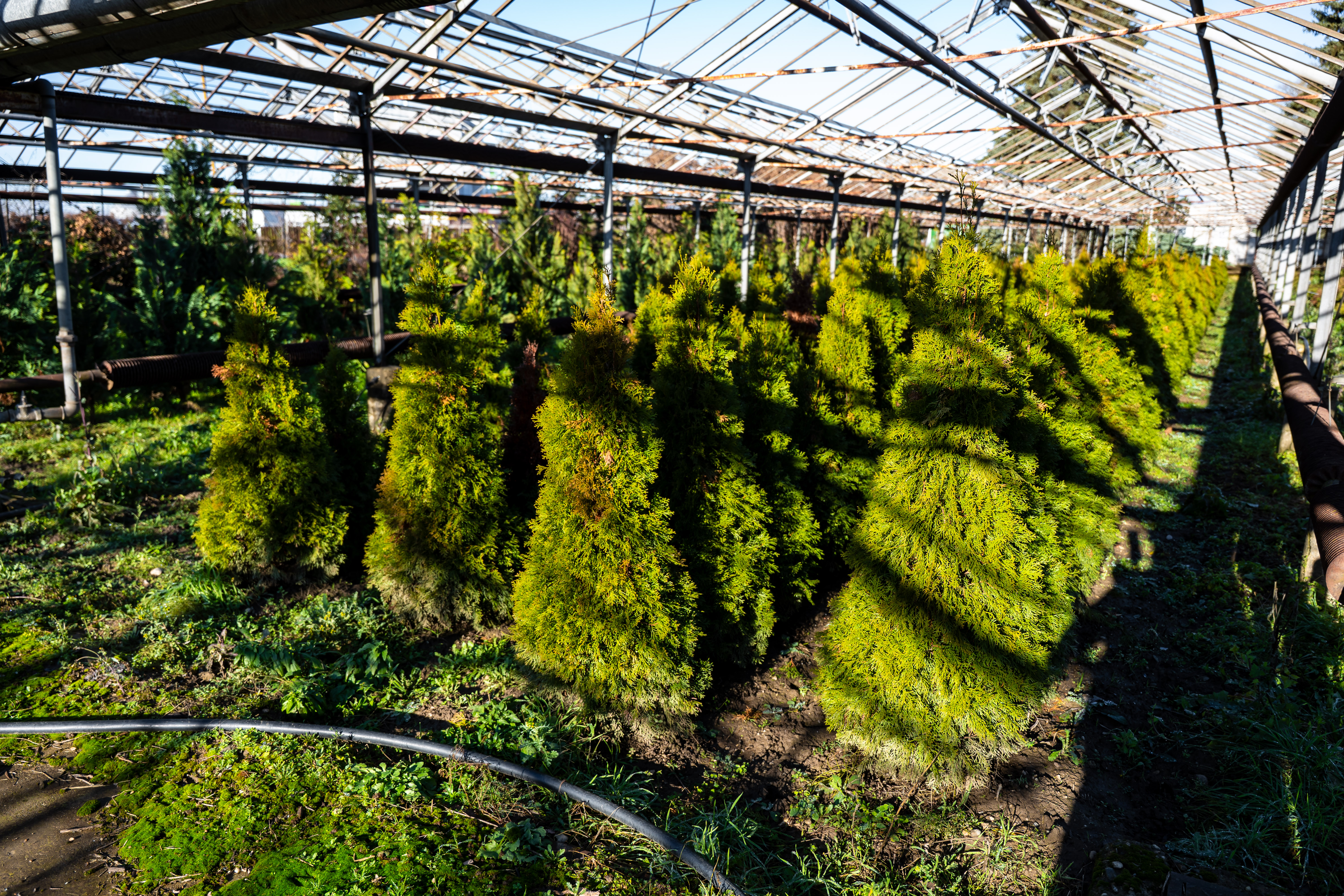 Kontrolna cinnost - Kompostaren mesta Kosice-35